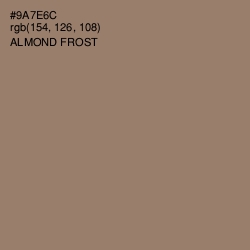 #9A7E6C - Almond Frost Color Image